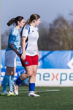 Bild 171 - F Hamburger SV 3 - Blau-Weiss 96 : Ergebnis: 5:1